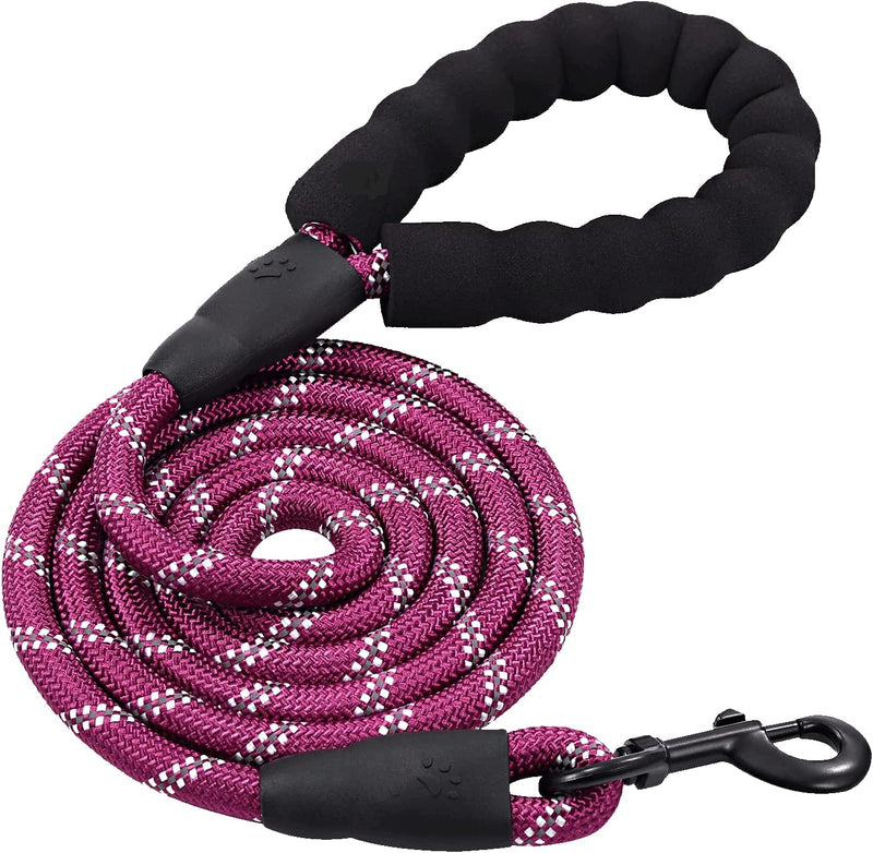 Reflective Dog Leashes with Padded Handle