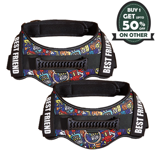 Customize Patterned Dog Harness - 2 Piece bundle